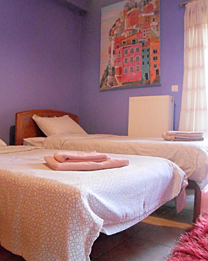 Secret Garden 76 Sq.M. Apartment Close To City Center อิโออันนินา ภายนอก รูปภาพ